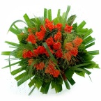 bloemen